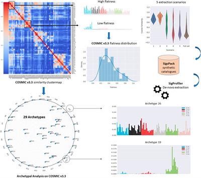 Unravelling the instability of mutational signatures extraction via archetypal analysis